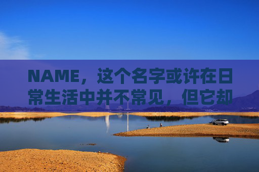 NAME，这个名字或许在日常生活中并不常见，但它却在某些领域里扮演着重要的角色。今天，让我们一起来探索这个名字背后的故事和意义